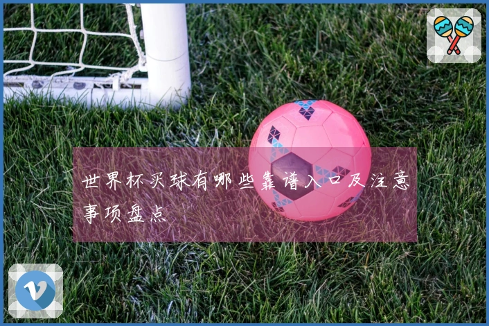 世界杯买球有哪些靠谱入口及注意事项盘点