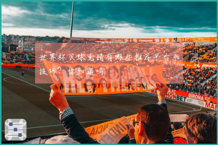 世界杯买球竞猜有哪些推荐平台和技巧？你知道吗
