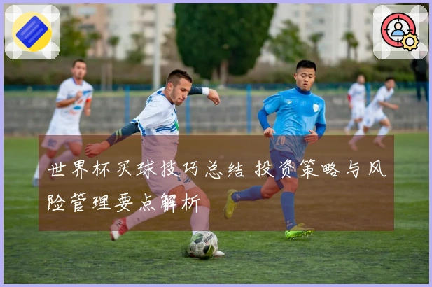 世界杯买球技巧总结 投资策略与风险管理要点解析