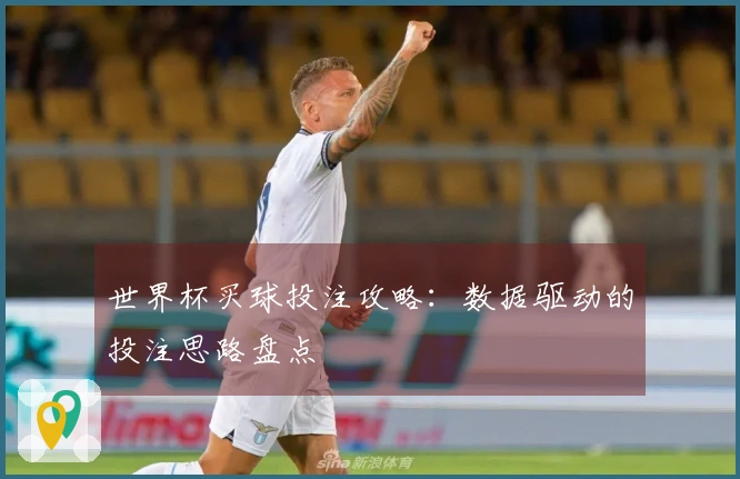 世界杯买球投注攻略：数据驱动的投注思路盘点