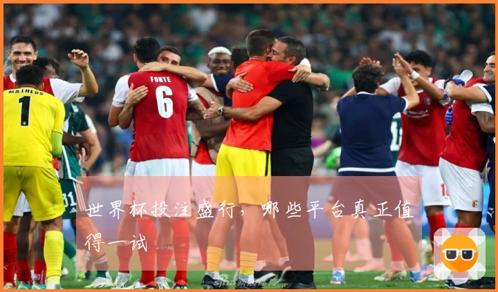 世界杯投注盛行，哪些平台真正值得一试