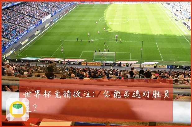 世界杯竞猜投注：你能否选对胜负王？