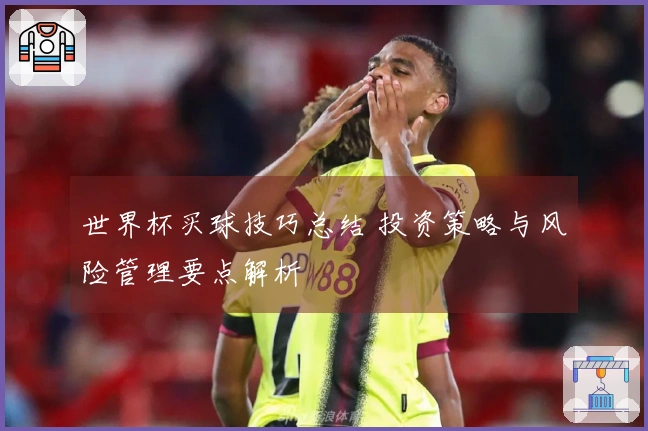 世界杯买球技巧总结 投资策略与风险管理要点解析