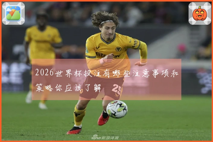 2026世界杯投注有哪些注意事项和策略你应该了解