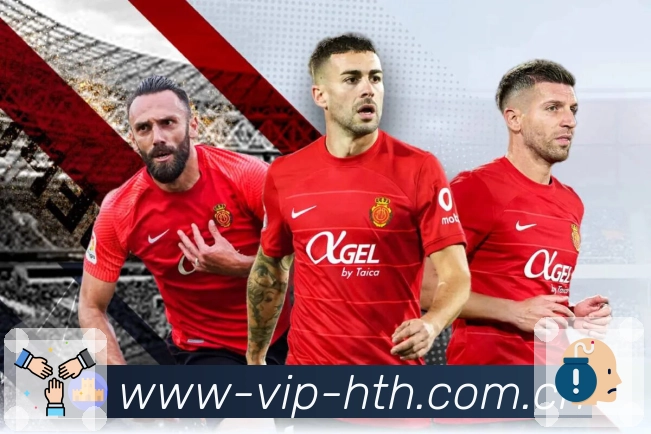 用户使用路径展示